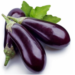 Brinjal