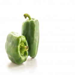 Genus Capsicum