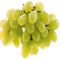 Grapes