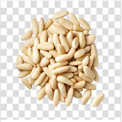Pine Nuts