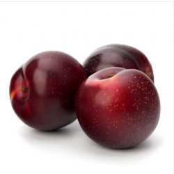 Plums And Sloes
