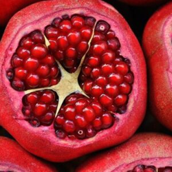 Pomegrenates