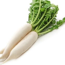 Radish