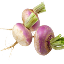 Turnip