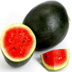 Water Melon